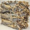 Dried StockFish from N...
