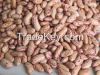 Crop 2014 KIDNEY bean, Long Shape Kidney Bean,Round Shape Kidney Bean