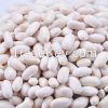 Crop 2014 KIDNEY bean(England,Japanese,Medium,Spanish,Navy,Alubia,Large,Long,Round,Small)