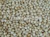 Red broomcorn millet, Red millet