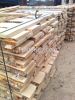 Unedged birch lumber