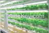 LED Grow light Made in China used greenhouse/plant factory