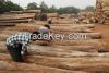 AFRICAN TEAK WOOD, TALI WOOD , PADOUK WOOD , BUBINGA,