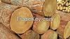 AFRICAN TEAK WOOD, TALI WOOD , PADOUK WOOD , BUBINGA,