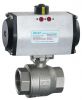 rotary actuator