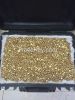 GOLD NUGGETS 