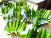 FRESH CAVENDISH BANANA