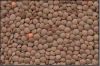 Best lentils
