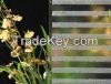Screen Glass ys-p-f005