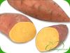 Sweet Potato