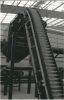 EP/ Nylon/ Cotton Canvas conveyor belt, Heat Resistant Conveyor Belt, Shevron Conveyor Belt