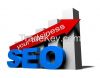 Search Engine Optimiza...