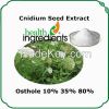 natural and high quality cnidium fruit extract 10% osthole powder