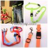 High quality pet collars and leashes runing dog cat leash charm decora