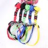 High quality pet collars and leashes runing dog cat leash charm decora