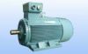 electric motor