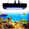 LED aquarium lighting for fish tank, 2 years warranty