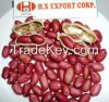 DRIED PEANUTS KERNEL