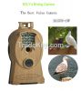 High Quality Bird watc...