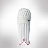 BATTING PAD - T20