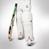 BATTING PAD - T20