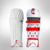 BATTING PAD - T20