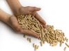 Russia Grade A Quality Wood Pellets 