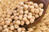 New Crop production Chickpeas 7mm 8mm 9mm 10mm 11mm 12mm Chickpeas Garbanzos