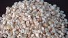 YELLOW CORN/ WHITE COR...