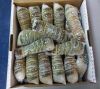 Frozen Lobster / Frozen Lobster Tails / Fresh Live Lobsters