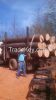 WHITE AND RED OAK LOGS...