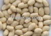 Blanched Peanut Kernels