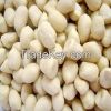 Blanched Peanut Kernel...