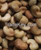 Raw Cashew Nuts in Shell