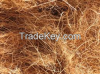 Mature and Young Coconut and Coco Shells, water, fiber and everything about coconut.