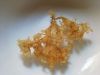 seaweed sea moss /  chondrus crispus / irish moss