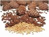 Siberian Pine nuts and...
