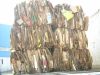 OCC (Old Corrugated Ca...