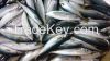 chub mackerel/pacific ...