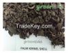 Palm Kernel Shell