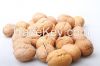 2014 new crop walnut i...