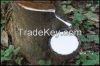 natural rubber latex a...