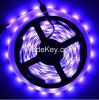 High quality wholesale LED strip light