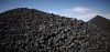 Coal