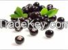 Acai Berry Extract Extraction Ration 4:1, 10:1