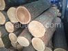 WHITE OAK LOGS FROM LI...