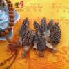 Toadstool/Morel/Morche...