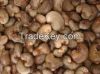 Raw Cashew Nuts for sale