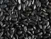 Sunflower kernels and ...