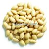 peanut kernels/blanche...